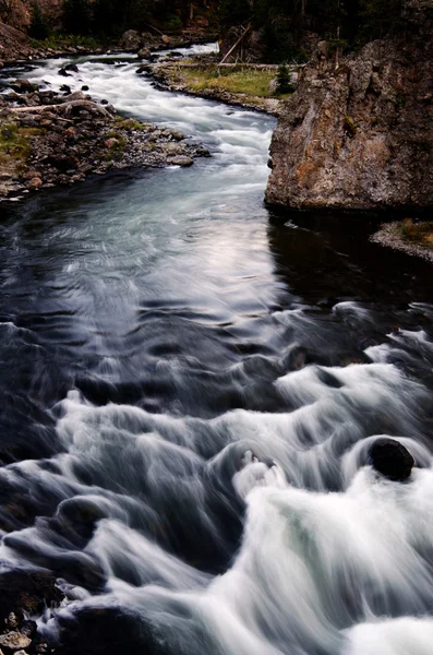 River Stream Flowing Clean Purity Down Rocks — Stock Photo, Image