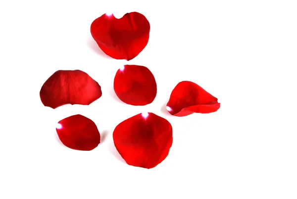Rose Petals Representing Love and Romance — Stock Photo, Image