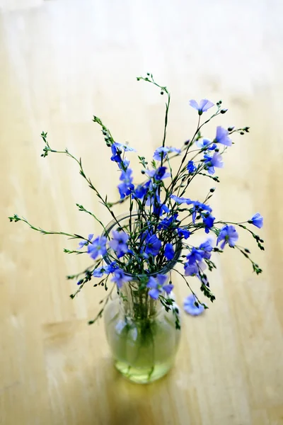 Flores frescas de primavera Claveles Copa Decoración de mesa de madera vieja — Foto de Stock