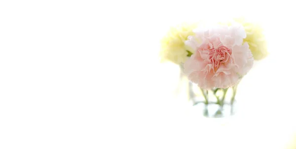 Zbliżenie Świeżych Wiosennych Kwiatów Goździków Filiżance Starym Drewnianym Stole Dekoracji — Zdjęcie stockowe