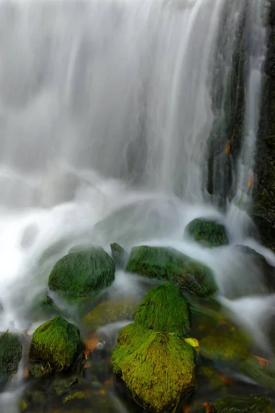 Cascada Agua Corriente Del Arroyo Arroyo Con Hojas Otoñales Otoño — Foto de Stock