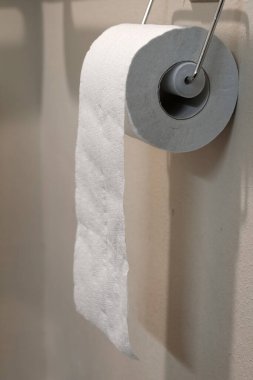 Tuvalet kağıtları banyoda depolanmış.