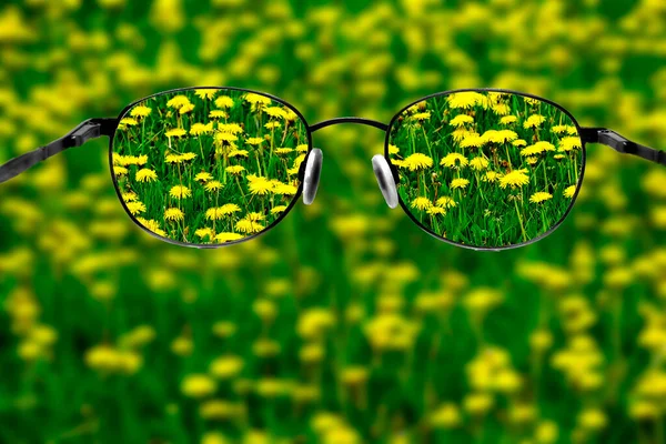 Vast vield of dandelions dandelion plants yellow flowers spring blur out of focus clear vision glasses