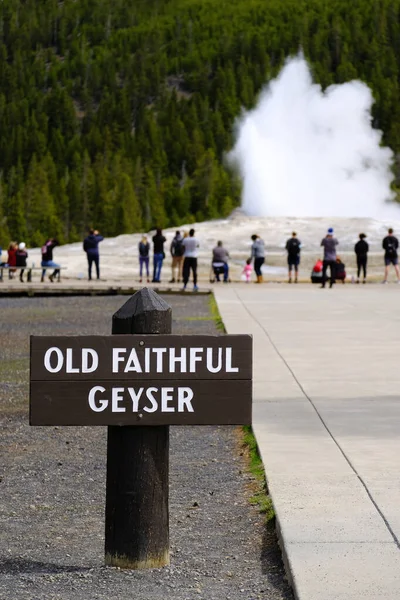 Tourist People Watching Viewing Old Faithful Geyser Yellowstone National Park — Stock Photo, Image