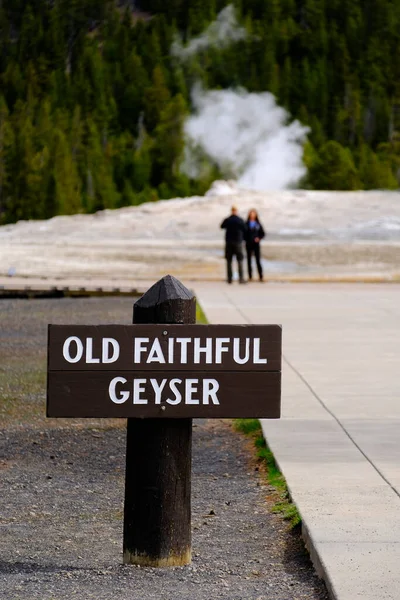 Tourist Couple Watching Viewing Old Faithful Geyser Yellowstone National Park — Stock Photo, Image