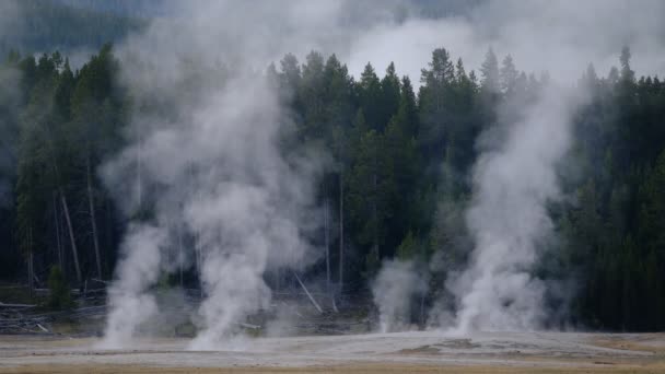 从间歇泉升起的黄石蒸汽 — 图库视频影像