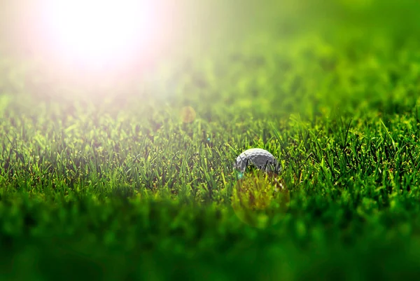 Golfboll Ligger Grönskande Grönt Gräs Fairway Gyllene Sommar Morgon Solljus — Stockfoto