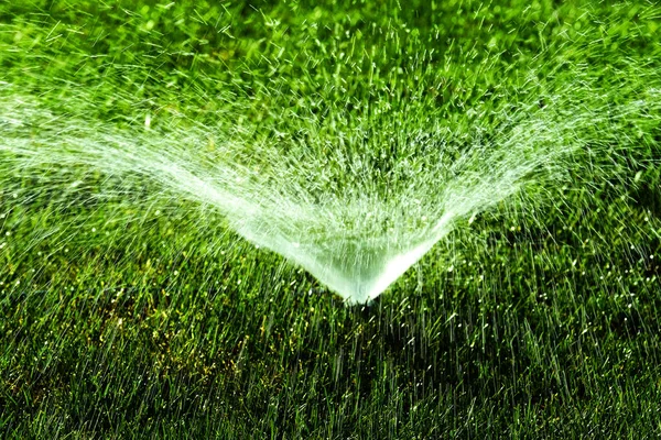 Sprinkler Gras Eines Hofes Versprüht Wassertropfen Zur Bewässerung — Stockfoto
