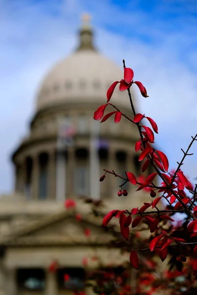 Idaho State Capital Building Jesienią Liście Błękitne Niebo — Zdjęcie stockowe