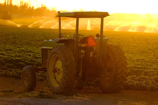 Starý Farmářský Traktor Poli Rostoucí Úrodou Pozdním Slunečním Světlem — Stock fotografie