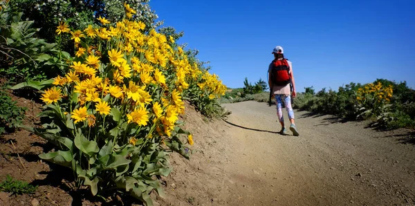 Jong Meisje Wandelen Pad Het Bos Met Wilde Bloemen Geel — Stockfoto