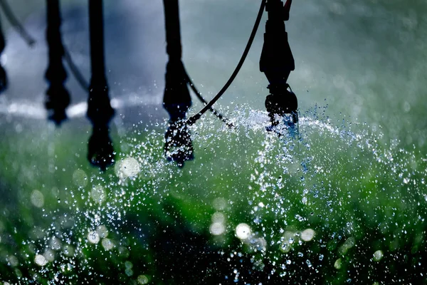 Système Irrigation Par Arrosage Agricole Dans Les Cultures Vertes Luxuriantes — Photo