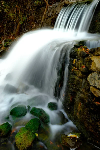 Cascada Agua Corriente Del Arroyo Arroyo Con Hojas Otoñales Otoño — Foto de Stock