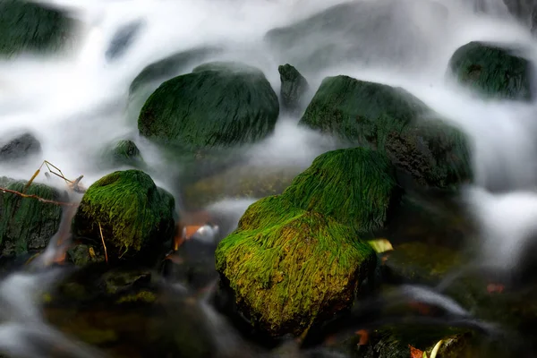 Cascata Acqua Che Scorre Dal Ruscello Torrente Con Foglie Autunnali — Foto Stock