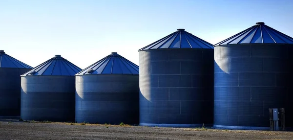 Bain silos on farm for farming and storage of wheat