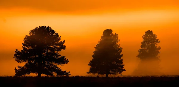 Morgendlicher Sonnenaufgang Mit Bäumen Und Fluss Unter Blauem Himmel Und — Stockfoto