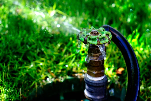 Leaky Water Faucet Hose Spraying Water Out Grass Drops Spray — Stock Photo, Image