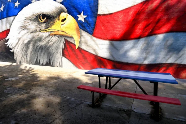 Painted Mural Bald Eagle American Flag Celebrating Freedom United States — Stock Photo, Image