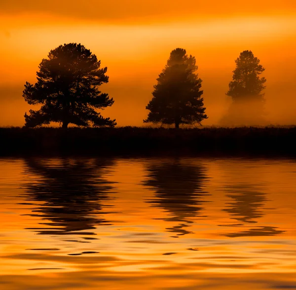 Ochtend Zonsopgang Met Bomen Rivier Onder Blauwe Hemel Gloeiende Mist — Stockfoto