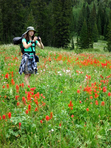 女性女の子撮影野生の花とバック パッキング — ストック写真