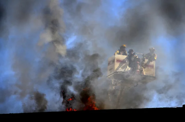 Brandmän i stege hink observerar brand — Stockfoto