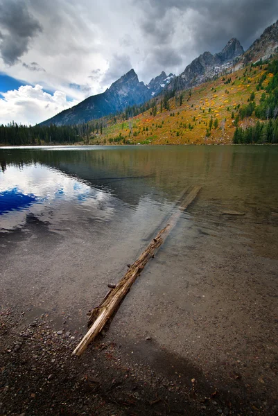 String Lake Grand Teton Reflection — Stock Photo, Image