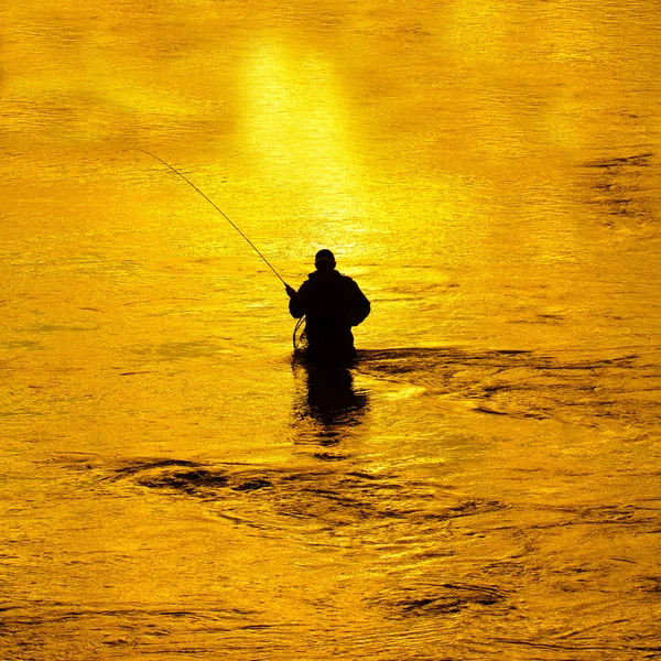 Muž rybolov v řece brzy ráno — Stock fotografie