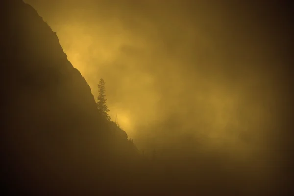 Nevoeiro, luz solar quente e pinheiros isolados na encosta da montanha acidentada — Fotografia de Stock