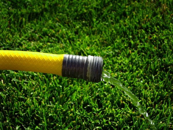 Žlutá hadice stříká pitné vody na trávě — Stock fotografie