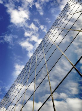 Ofis Binası windows