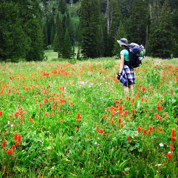 Kvinna tjej backpacking med blommor att fotografera — Stockfoto