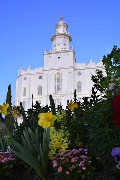 St George Utah Lds Mormon Tapınağı erken sabah — Stok fotoğraf