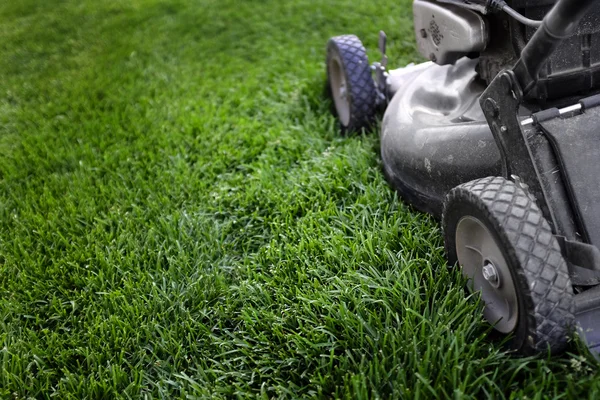 Grasmaaier op gras voorbereiden om te maaien — Stockfoto