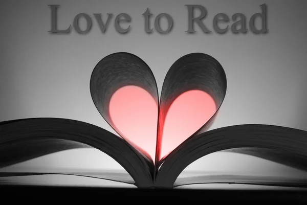 読むことを愛する — ストック写真