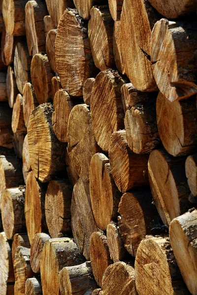 Stapel Logs pijnbomen — Stockfoto