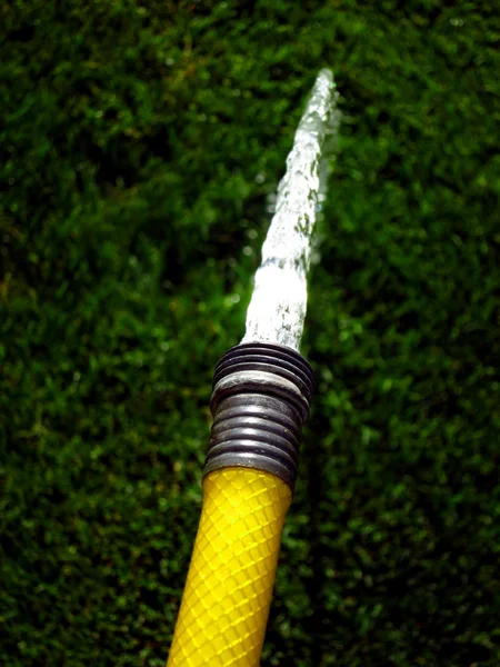 Gelber Schlauch spritzt Frischwasser auf Gras — Stockfoto