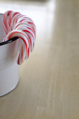 Beyaz kovaya şeker köpekler