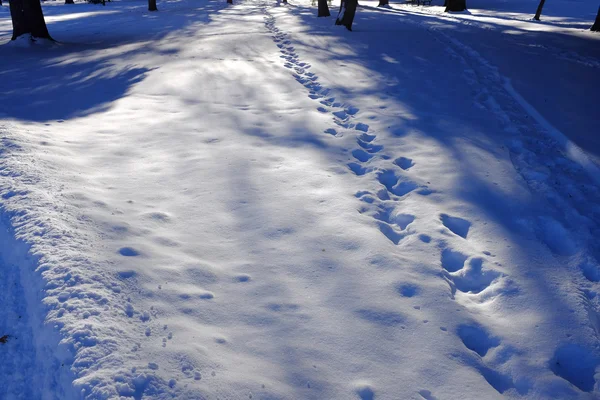 与树木和公园雪中的脚印 — 图库照片