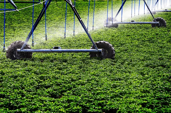 Irrigazione irrigatore agricolo Acqua — Foto Stock