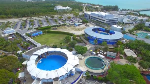Hava dron görüntüleri Miami Seaquarium — Stok video