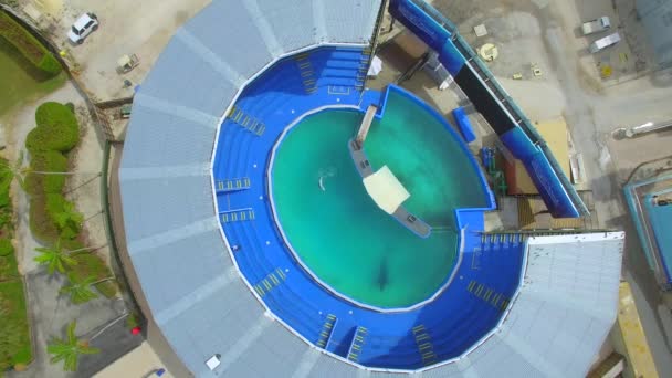 Luchtfoto drone beelden Miami Seaquarium — Stockvideo