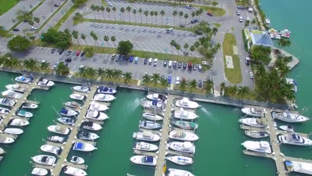 Luchtfoto video Key Biscayne Crandon Park en Marina — Stockvideo