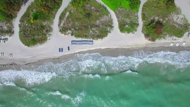 Vídeo aéreo Key Biscayne Crandon Park e Marina — Vídeo de Stock