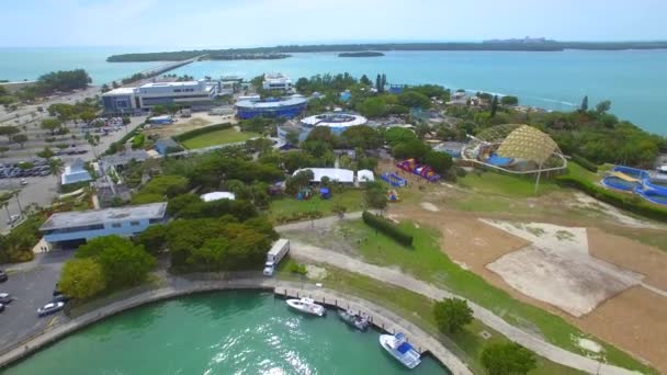 Aerial drone footage Miami Seaquarium — Stock Video