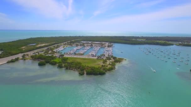 Antenn video Key Biscayne Crandon Park och Marina — Stockvideo