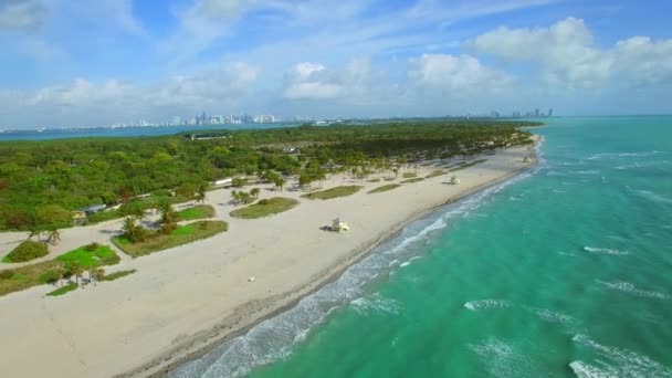 Luchtfoto video Key Biscayne Crandon Park en Marina — Stockvideo