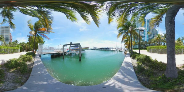 Miami Beach Marina avec palmiers 360 image — Photo