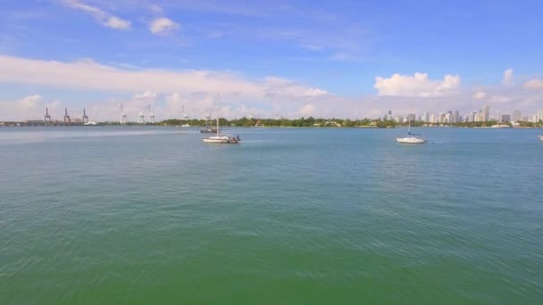 Aerial footage sail boats in Miami — Stock Video