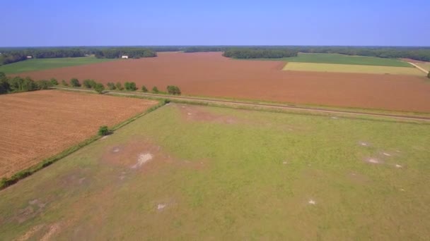 Percorsi ferroviari attraverso terreni agricoli — Video Stock