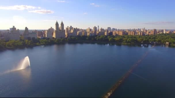 Vídeo aéreo de New York Central Park — Vídeo de stock